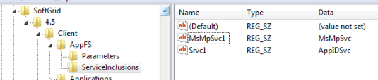 ServiceInclusions key in default 4.6 SP1 installation ServiceInclusions key in default 4.6 SP1 installation